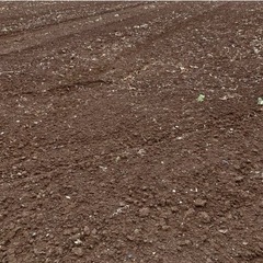 畑に使える残土を大量に頂けますか？