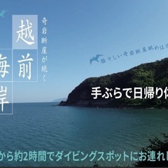 シュノーケル体験の画像