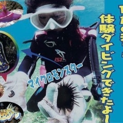 シュノーケル体験の画像