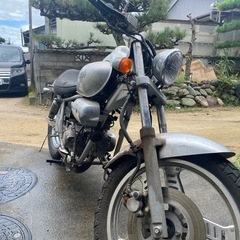 ホンダ　マグナ50
の画像