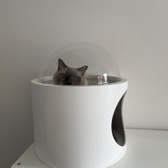 犬猫　ドームベットの画像