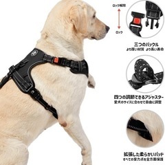 犬用ハーネスの画像