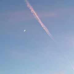 今日空いてる人ー！