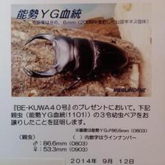 確実に本物100%です！  正真正銘(鶴原yasukong)氏血...