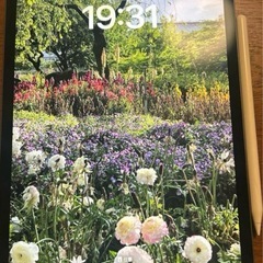 iPad Pro 第二世代
の画像