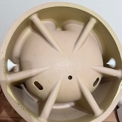 ムーナチェア ベビーチェア バンボの画像