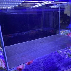 90cm 水槽 LEDライト付きの画像