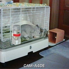 I-O DATAネットワークカメラの画像