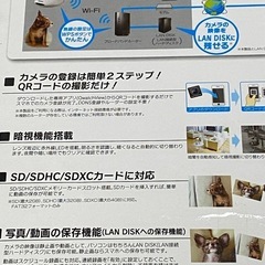 I-O DATAネットワークカメラの画像