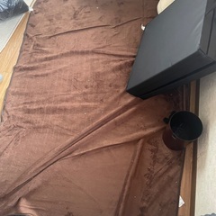 ホットカーペットお譲りしますの画像