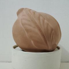 ✨超スペシャルSALE✨USED   芳香剤   サンタ・マリア ノッヴェラ  ザクロの画像