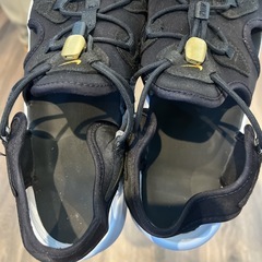 Nike エアマックス　ココの画像