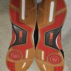NIKE　フットサルシューズ　29.5㎝の画像