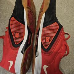 NIKE　フットサルシューズ　29.5㎝の画像