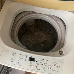 洗濯機お譲りしますの画像