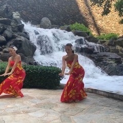 夏休みに2回のフラダンスレッスンで英語の歌を一曲を踊れるようになります♪の画像