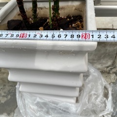 綺麗　白　プランター　の画像