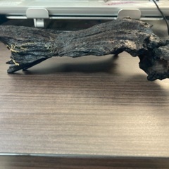 アクアリウム用　流木の画像