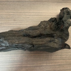 アクアリウム用　流木の画像