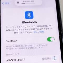 【未使用近い】SHARP AQUOS SOUND PARTNER AN-SS3 ネックスピーカーの画像