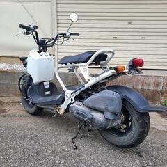 ホンダ　ズーマー　バッテリー新品　オイル交換済　千葉県流山市より　全国陸送可能の画像
