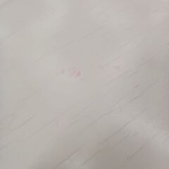 *お値段見直しました*リユースのサカイ栃木店★ジモティ割あり★  サイドテーブル ホワイト×ブラウン W44×D44×H47 クリーニング済み TC9718の画像