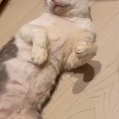 穏やかでやさしい男の子 − 兵庫県