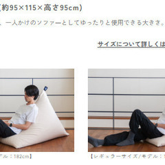 【大東寝具工業】tetra　ビッグサイズの画像