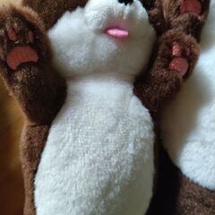 カワウソぬいぐるみ3点の画像