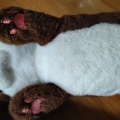 カワウソぬいぐるみ3点の画像