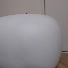 猫トイレ　キャットトイレの画像