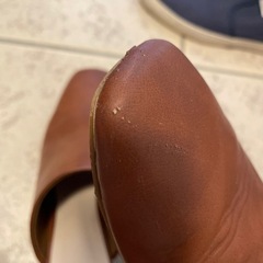 ミュールの画像