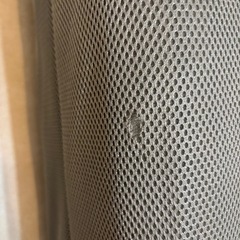 ニトリ　セミダブルベットの画像