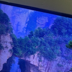無料☆40V型液晶テレビの画像