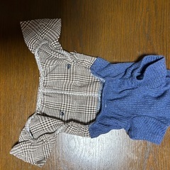 犬用　半袖服の画像