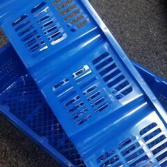 オクラ篭　残り5個の画像