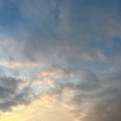 名古屋で今からカフェしませんか！