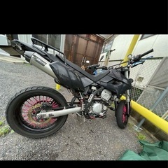 DトラッカーX
250 の画像