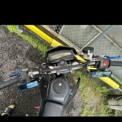 DトラッカーX
250 の画像