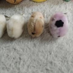 【お譲り先決定】カピバラさん ぬいぐるみの画像