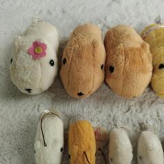 【お譲り先決定】カピバラさん ぬいぐるみの画像