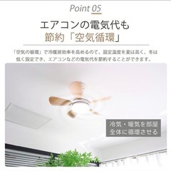 【新品・未使用】木目調シーリングファンライト シーリングライト 天井照明 調光調色 8畳の画像