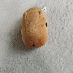 【お譲り先決定】カピバラさん 歩くぬいぐるみ
