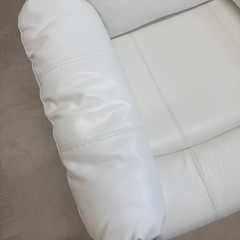シフォンJrの画像