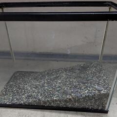千葉県の爬虫類の中古が安い！激安で譲ります・無料であげます