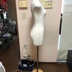 ディスプレイ用 レディースボディの画像