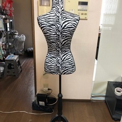 ディスプレイ用 レディースボディの画像