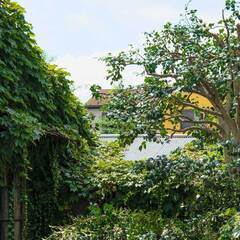 面倒なお庭や駐車場の草むしり🌿・草刈り🌿なら、あなたの街の地域密...
