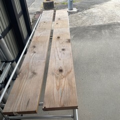 メダカ、カラーシュリンプ、その他の画像