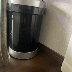 メダカ、カラーシュリンプ、その他の画像